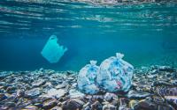 What can you do to limit Ocean plastics