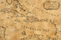 Who were  the Caribbean Irish?