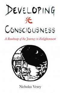 Developing Consciousness by Nicholas Vesey
