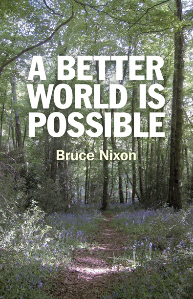 Better World is Possible, A