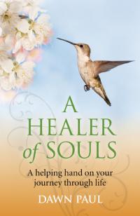 Healer of Souls, A by Dawn Paul