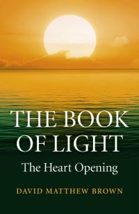 Book of Light, The by David Matthew Brown