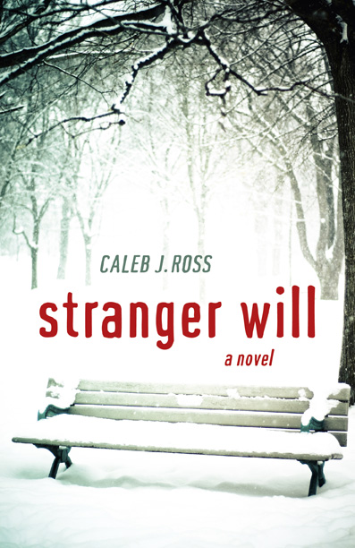 Stranger Will: a novel