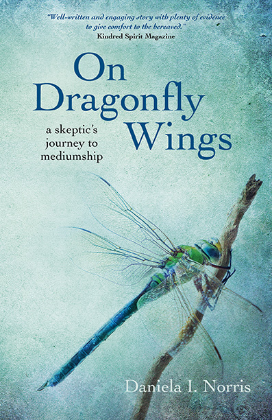 On Dragonfly Wings