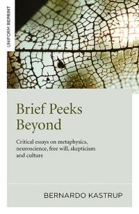 Brief Peeks Beyond by Bernardo Kastrup