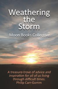 Weathering the Storm by Trevor Greenfield