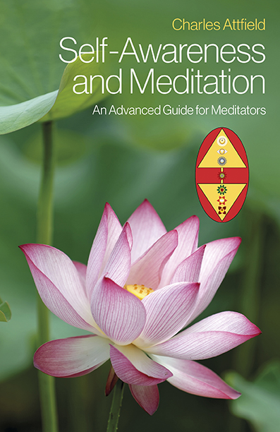 Self-Awareness and Meditation