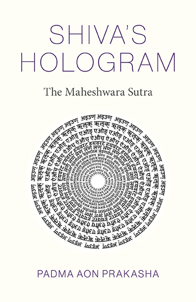 Shiva's Hologram